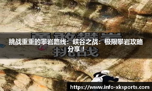 星空体育